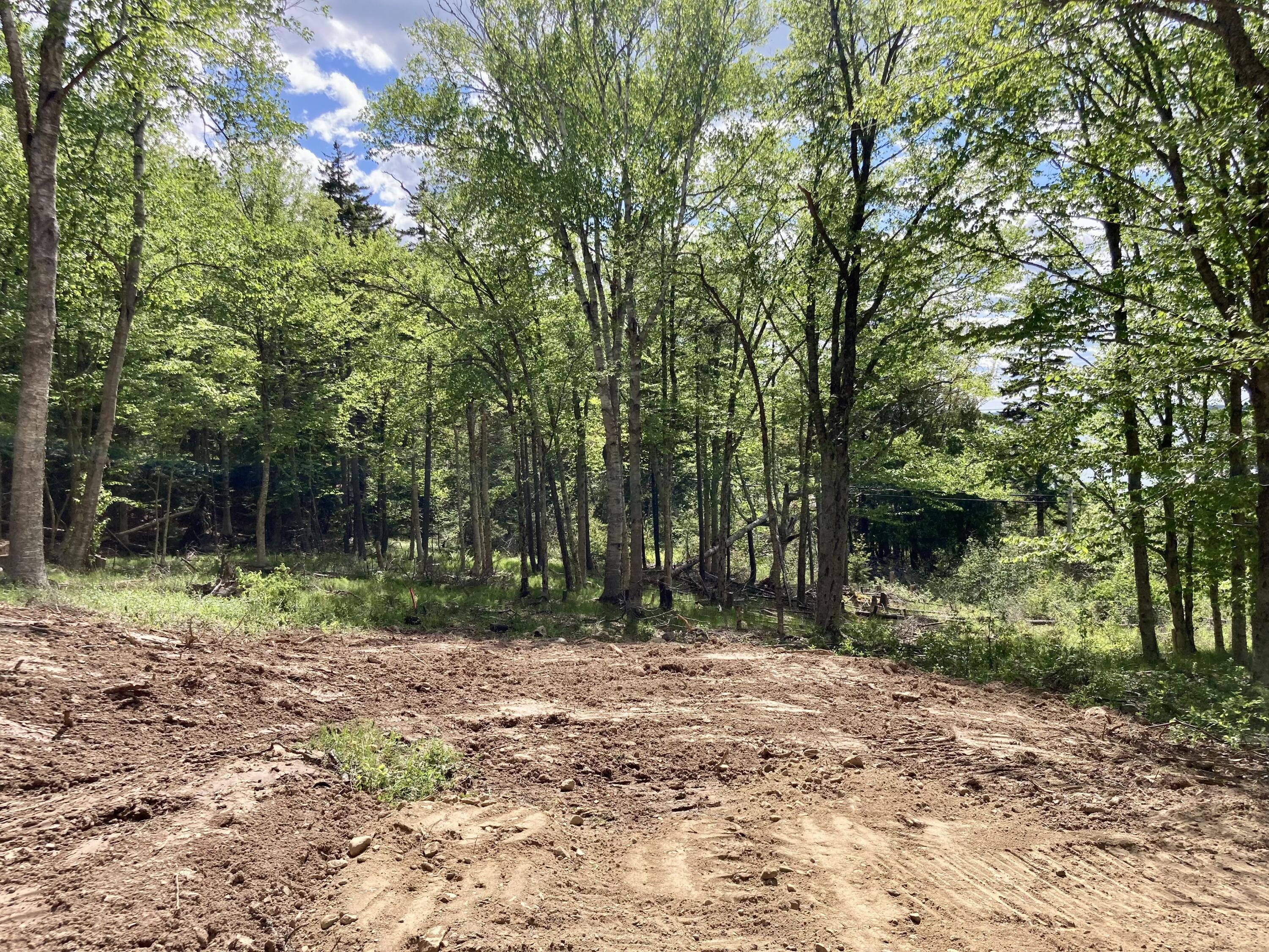 Lot 9-part Rt 190 Road Eastport ME 04631