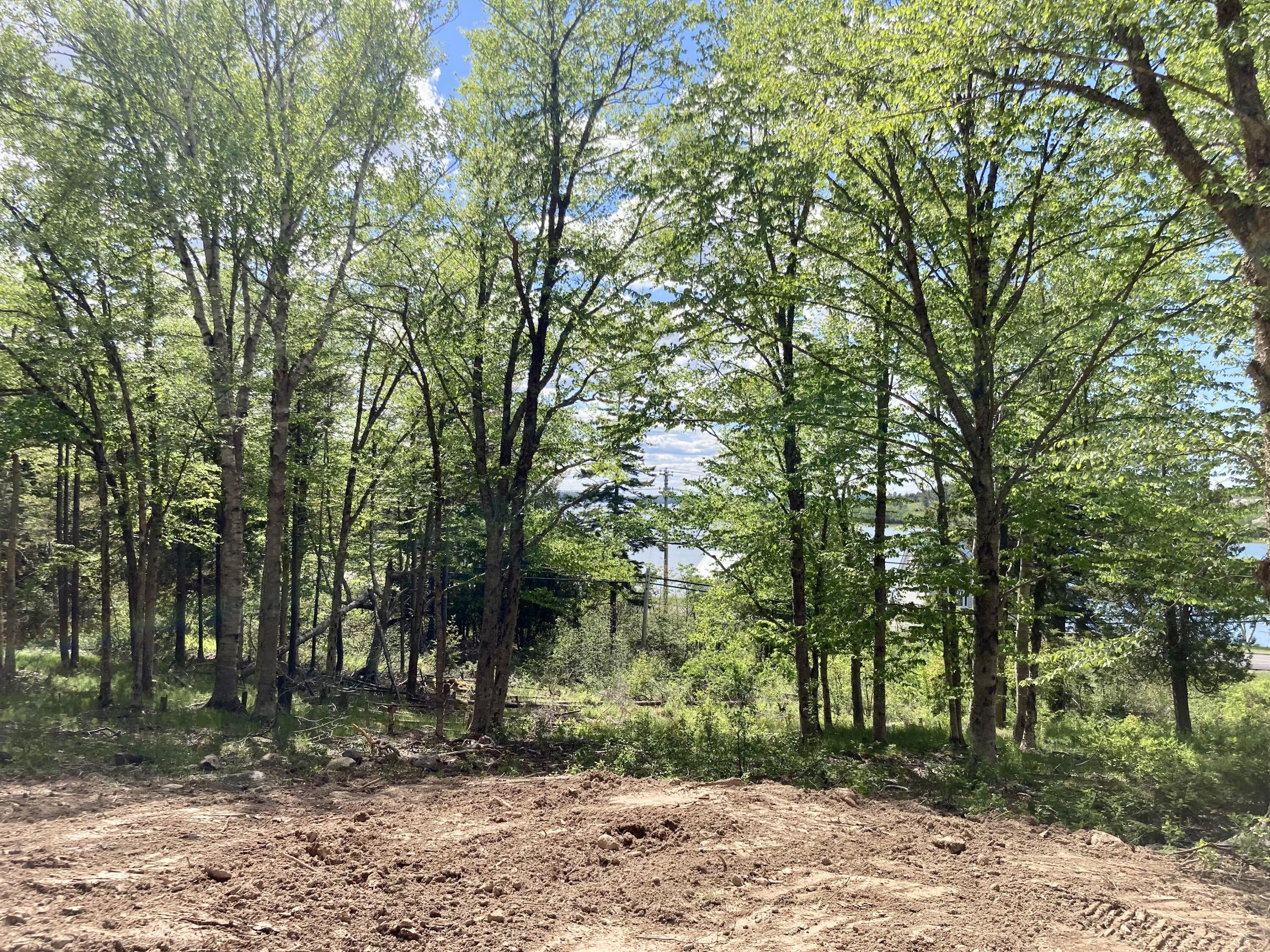 Lot 9-part Rt 190 Road Eastport ME 04631