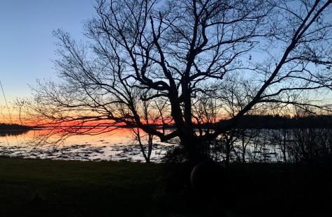 Lot 9-part Route 190 Road Eastport ME 04631