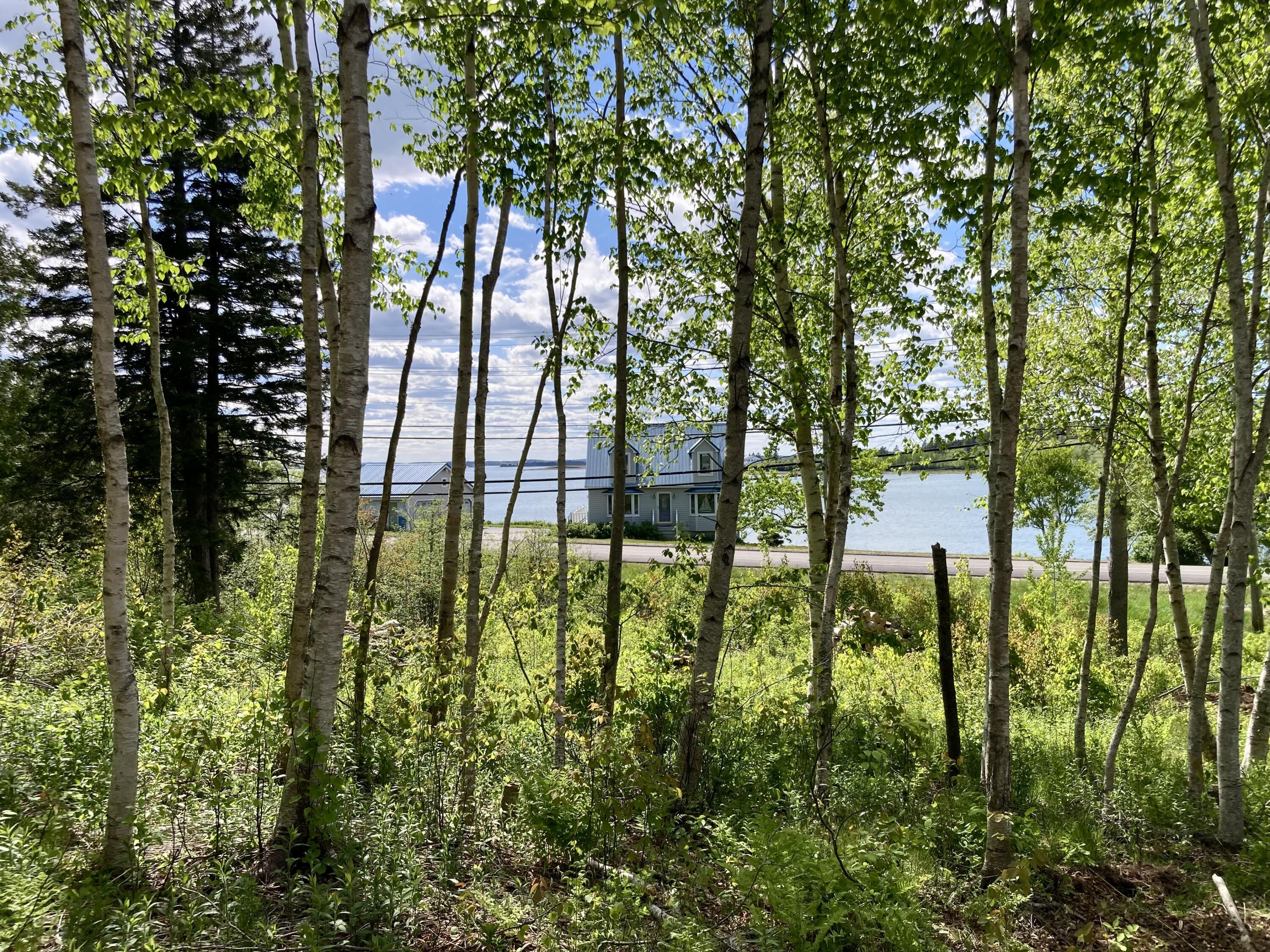 Lot 9-part Rt 190 Road Eastport ME 04631