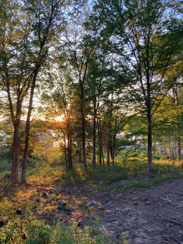 Lot 9-part Route 190 Road Eastport ME 04631