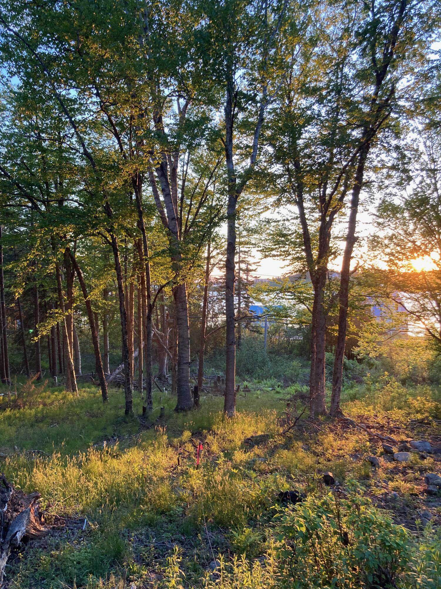 Lot 9-part Rt 190 Road Eastport ME 04631