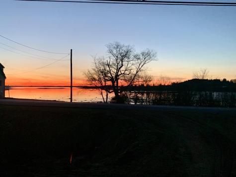 Lot 9-part Route 190 Road Eastport ME 04631