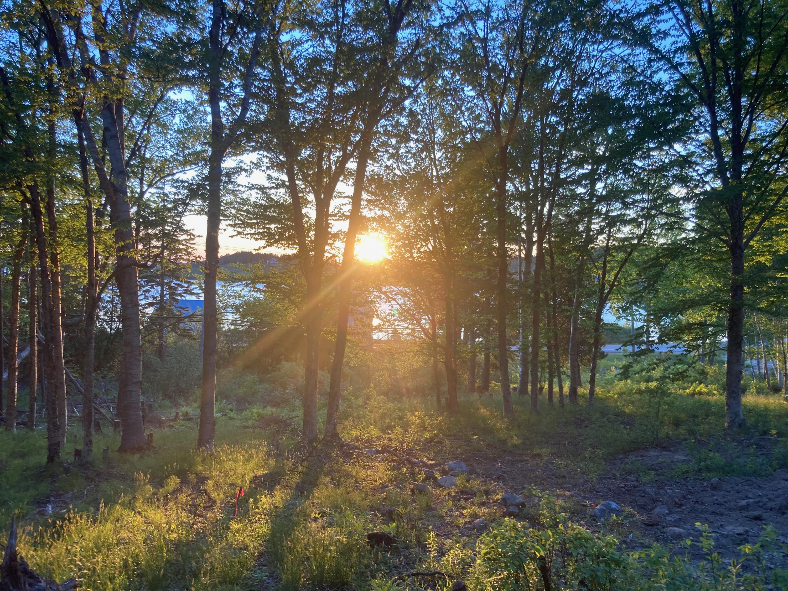 Lot 9-part Rt 190 Road Eastport ME 04631