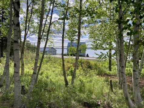 Lot 9-part Route 190 Road Eastport ME 04631