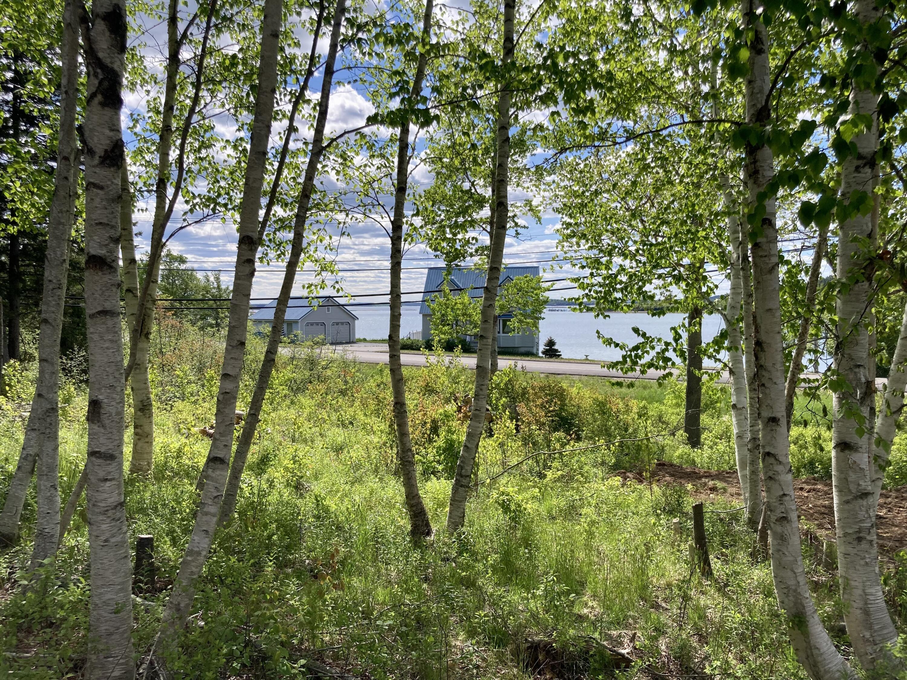 Lot 9-part Rt 190 Road Eastport ME 04631