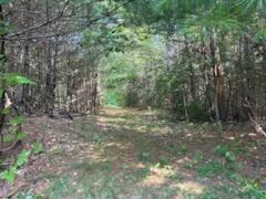 22 Depot Lane Belfast ME 04915