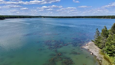 00 Periwinkle Lane Brooklin ME 04616