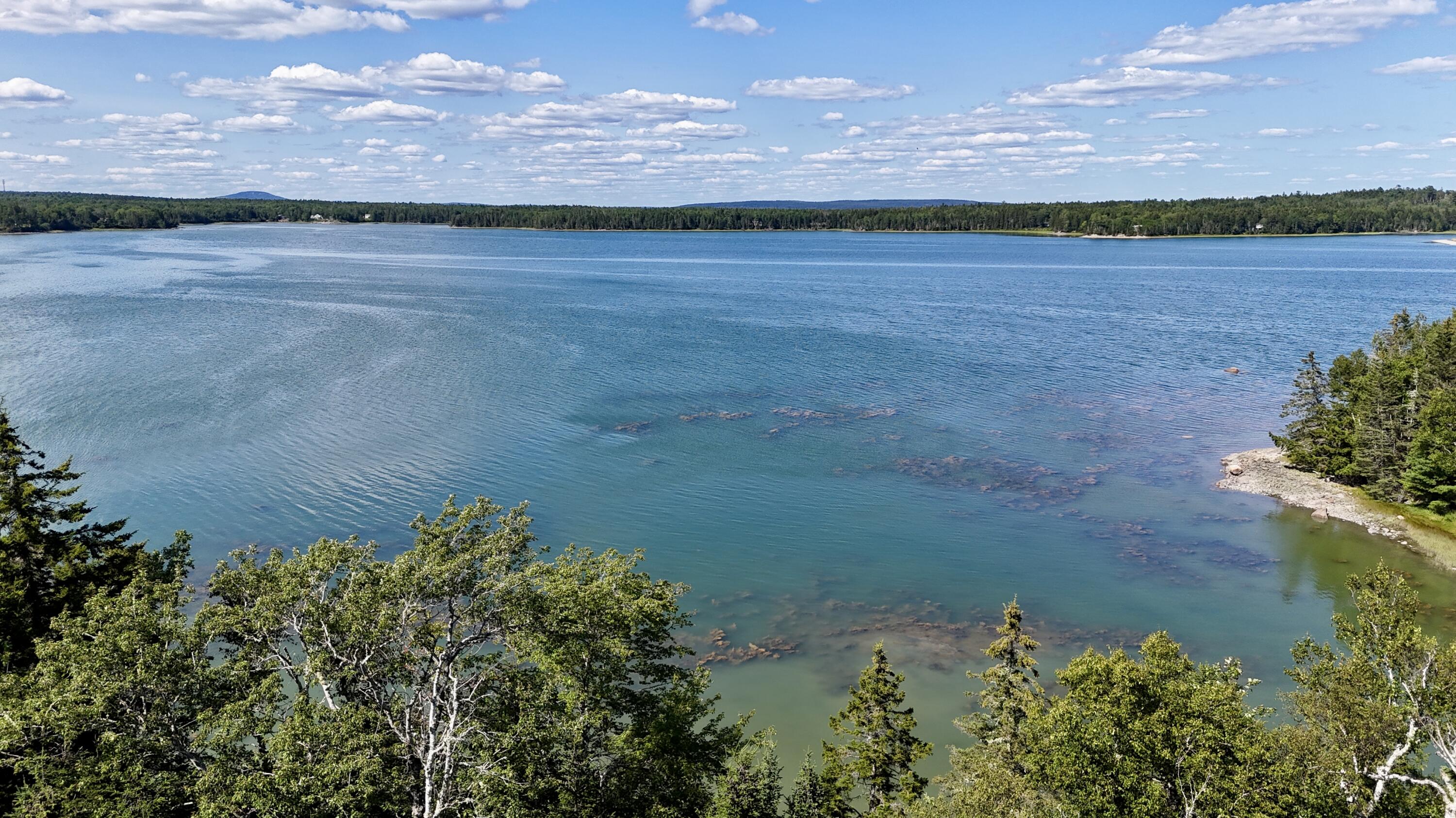 00 Periwinkle Lane Brooklin ME 04616