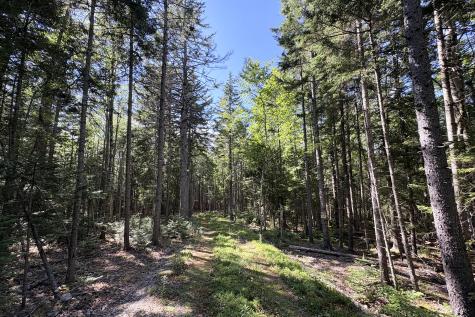 00 Periwinkle Lane Brooklin ME 04616