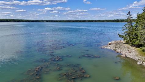 00 Periwinkle Lane Brooklin ME 04616