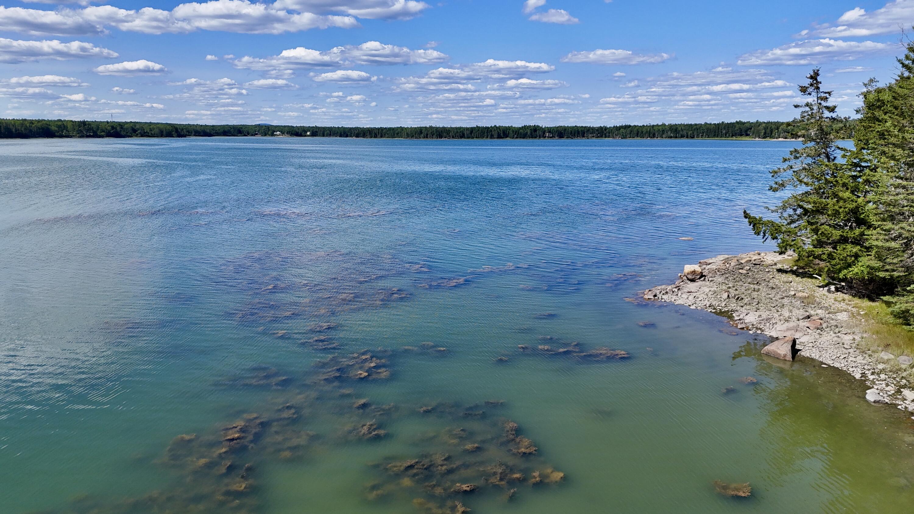 00 Periwinkle Lane Brooklin ME 04616