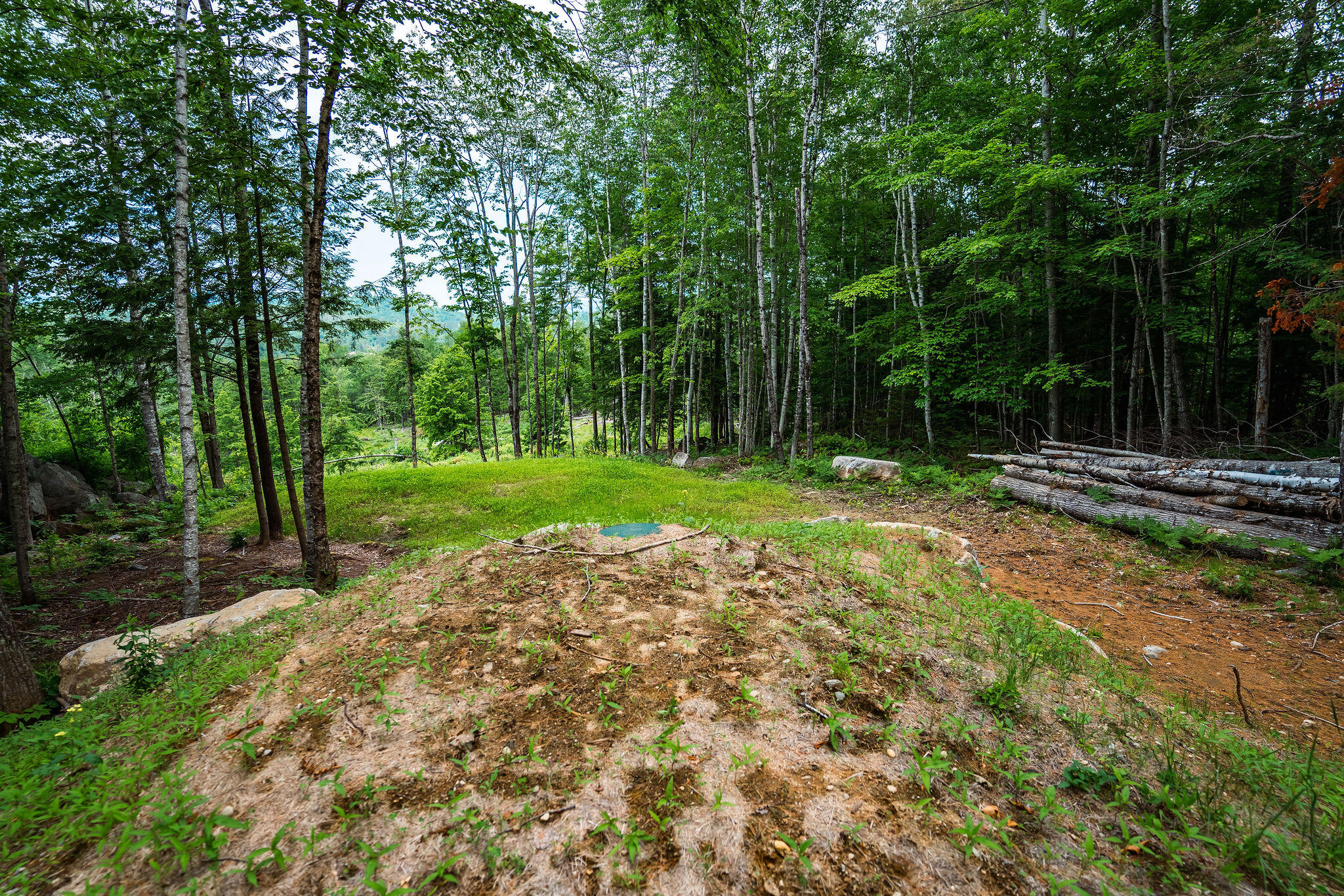 Lot 62 Bird Hill Road Bethel ME 04219
