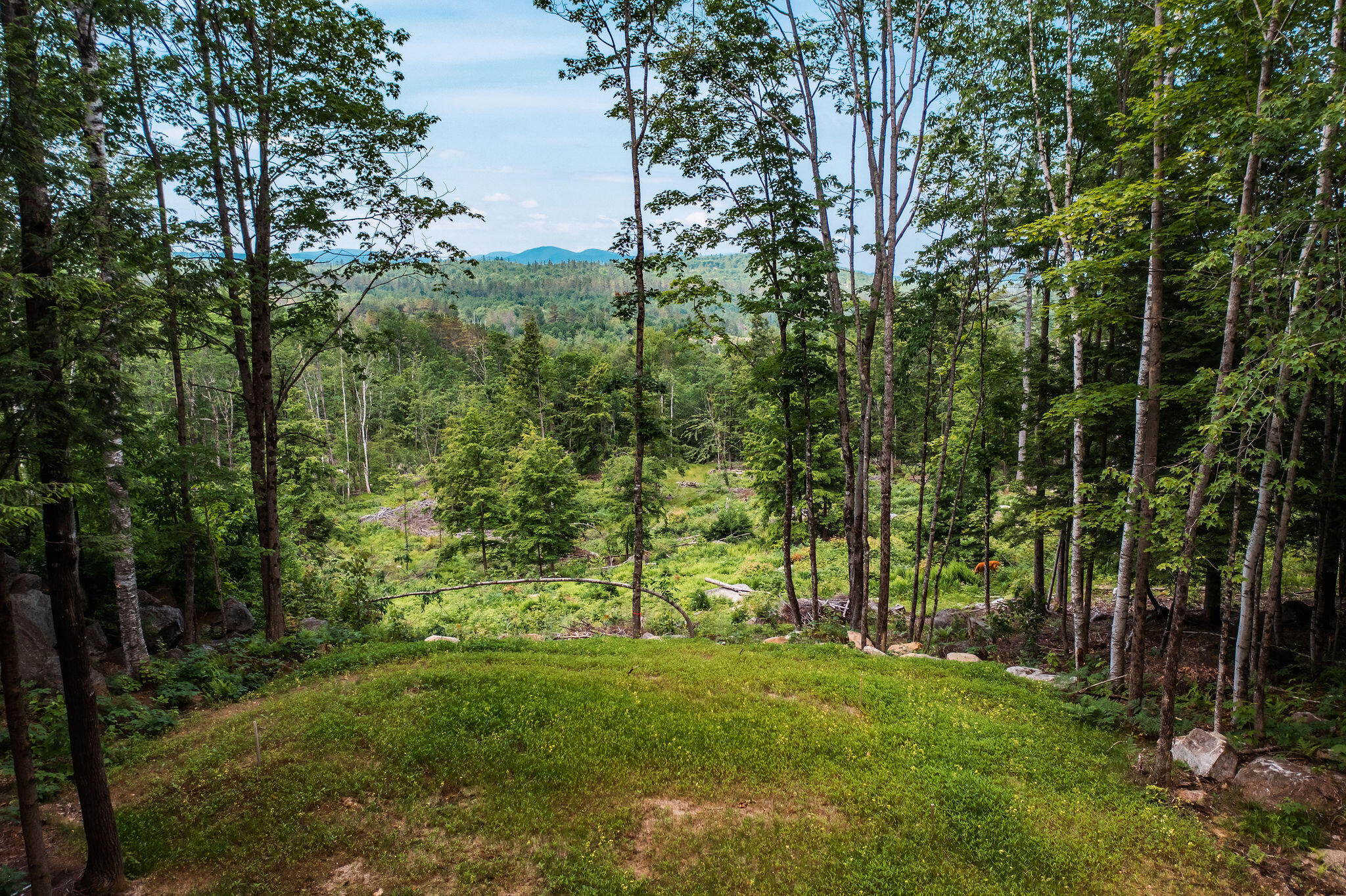 Lot 62 Bird Hill Road Bethel ME 04219