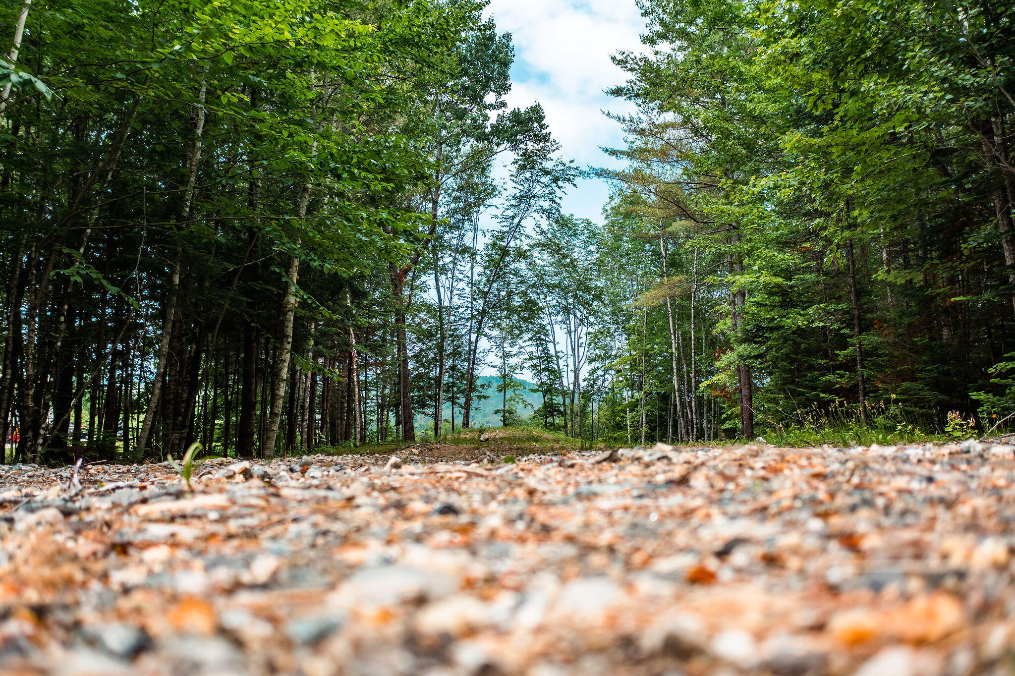 Lot 62 Bird Hill Road Bethel ME 04219