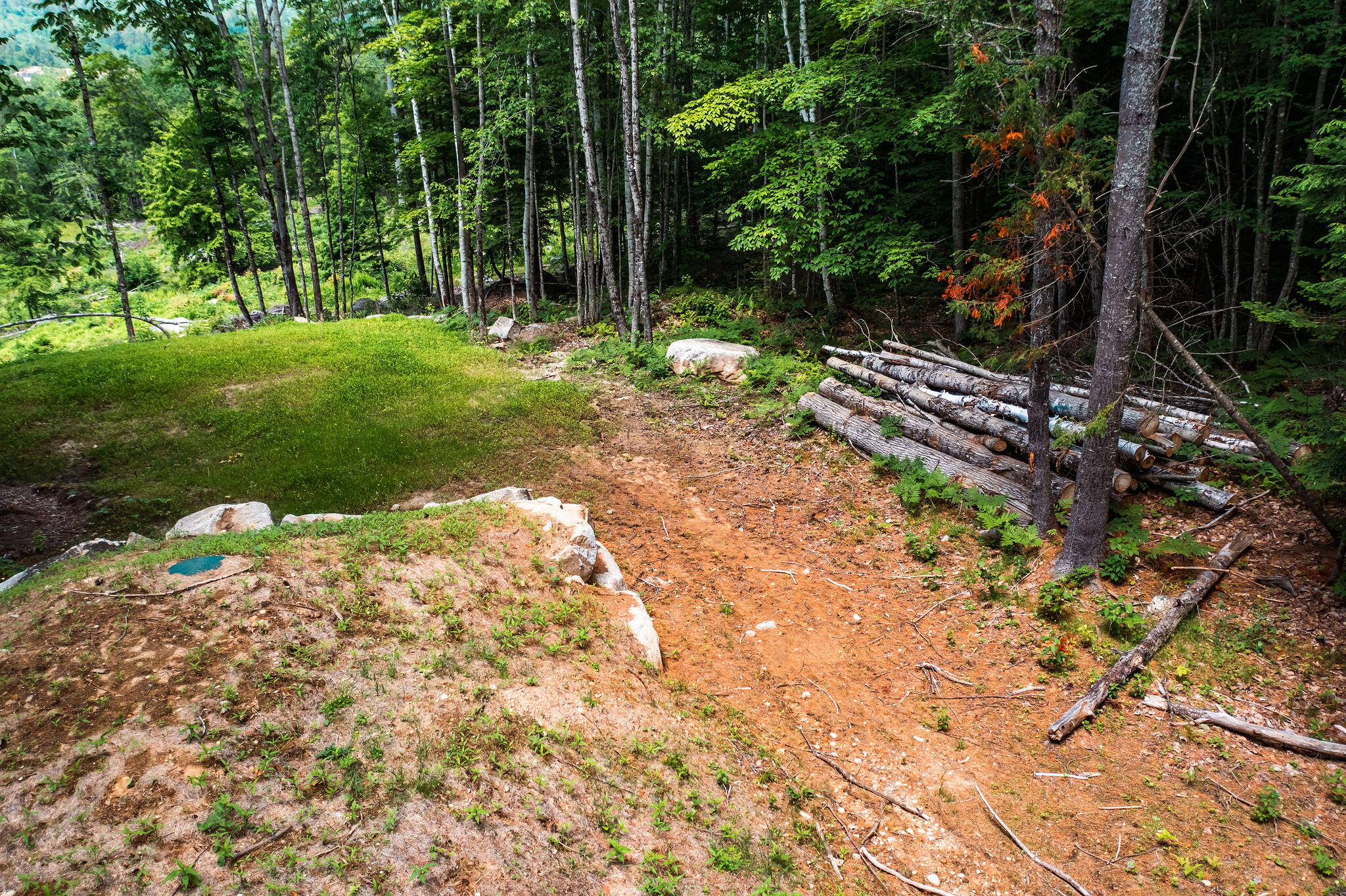 Lot 62 Bird Hill Road Bethel ME 04219