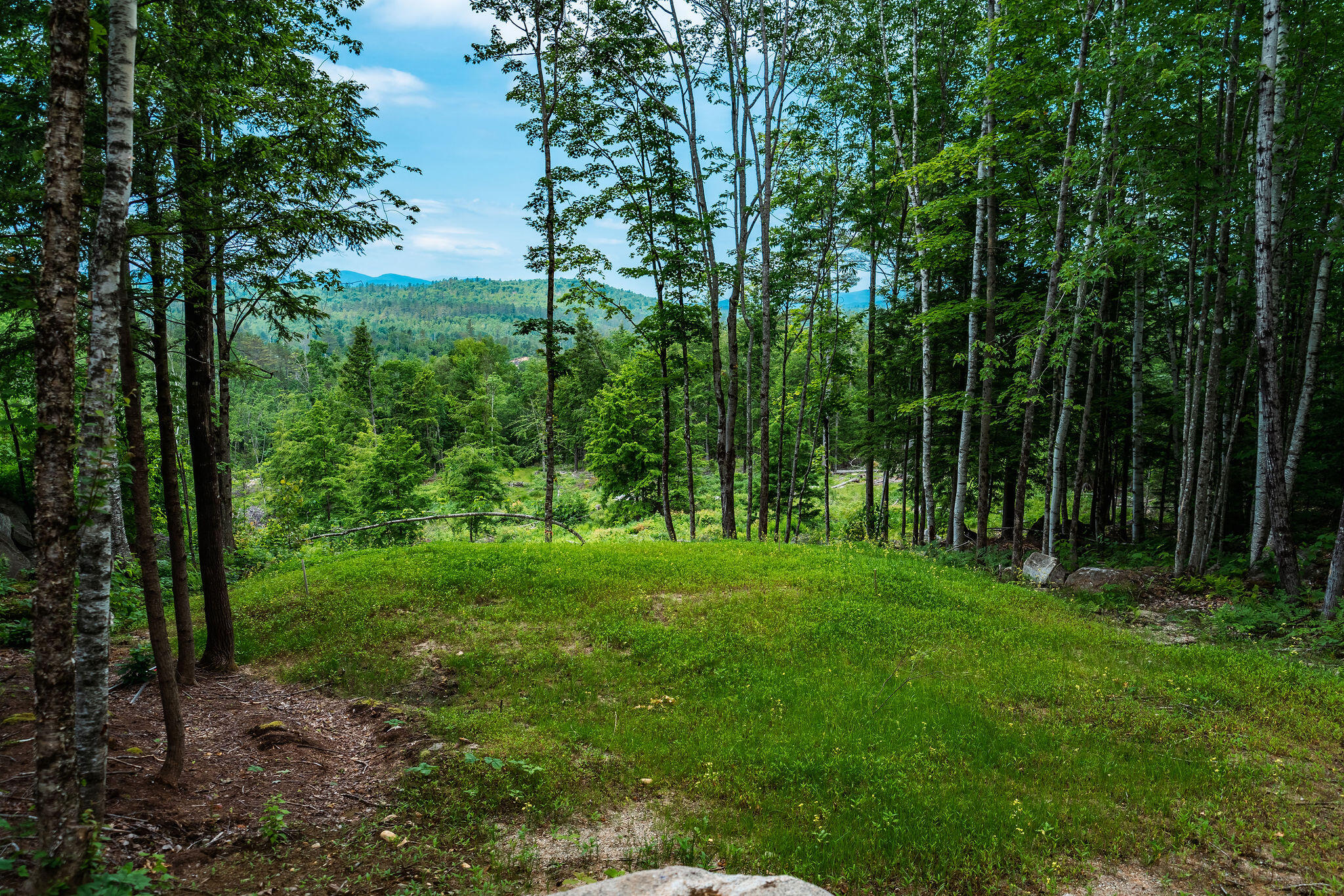 Lot 62 Bird Hill Road Bethel ME 04219
