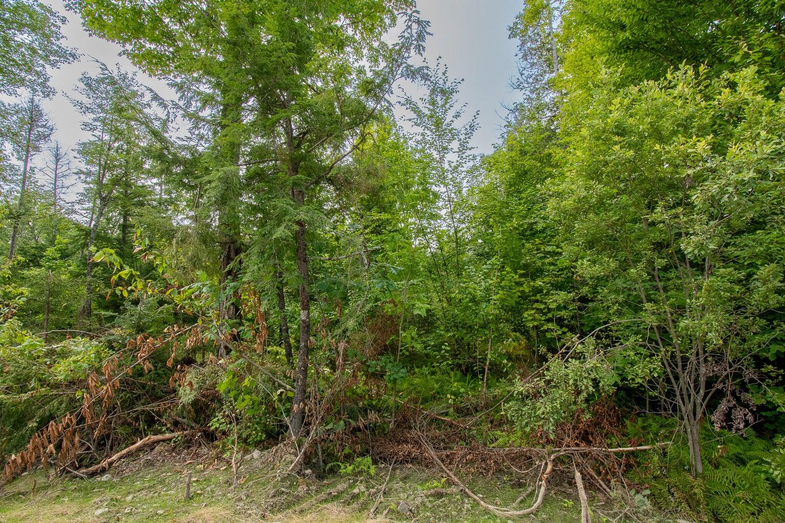 Lot1 Bear Brook Subdivision Sebec ME 04481