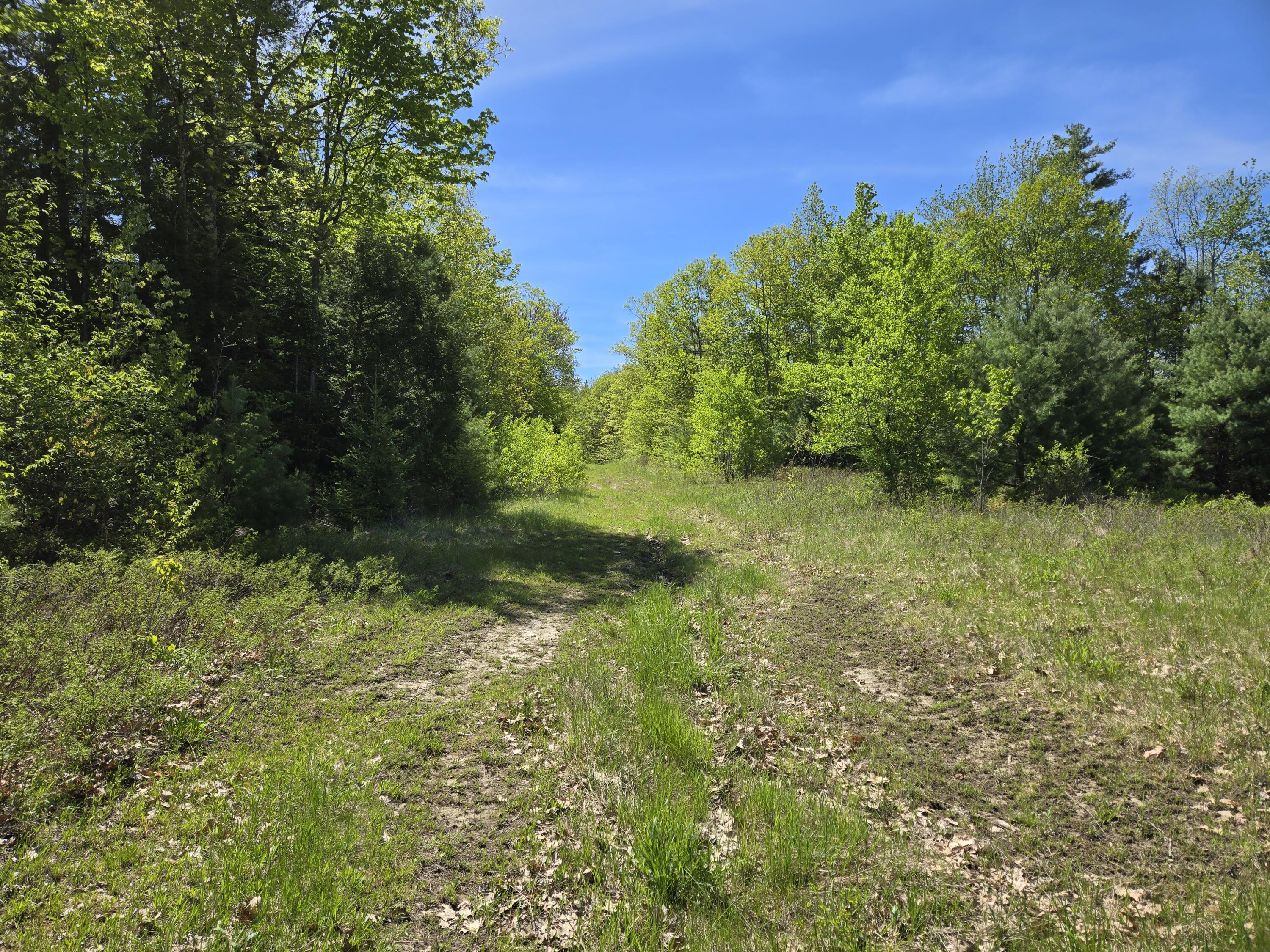 250 Drews Mills Road Biddeford ME 04046