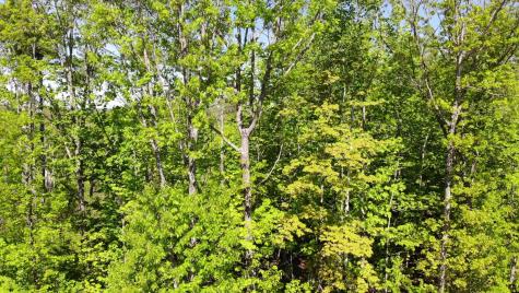 250 Drews Mills Road Biddeford ME 04046