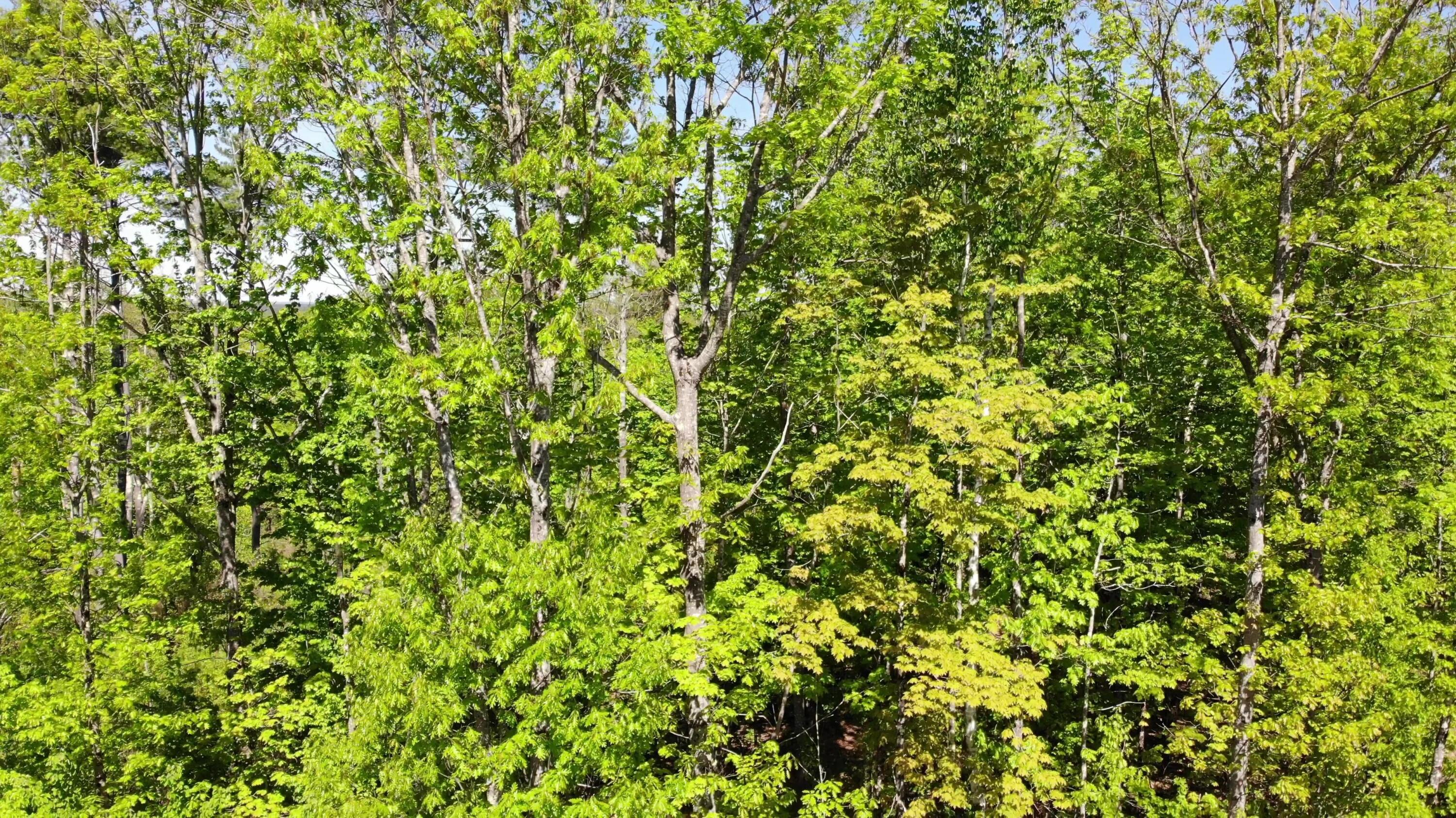 250 Drews Mills Road Biddeford ME 04046