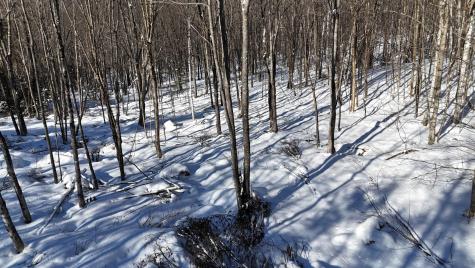 Tbd Dunn Road Norway ME 04268