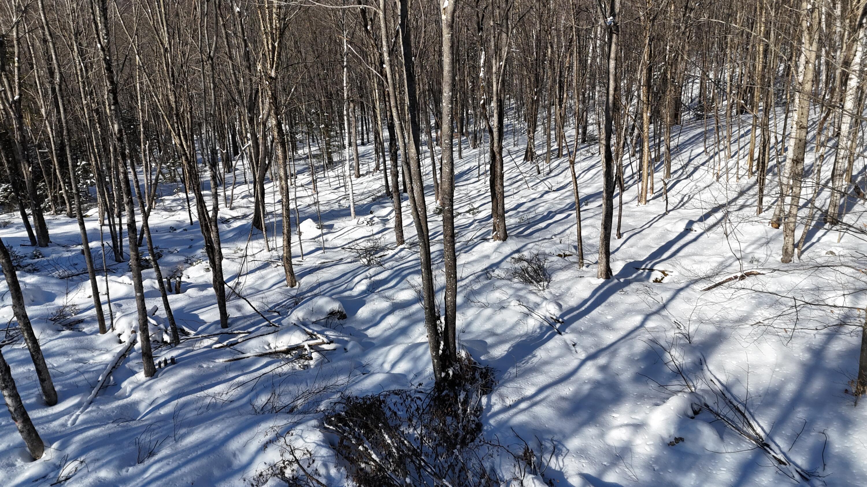 Tbd Dunn Road Norway ME 04268