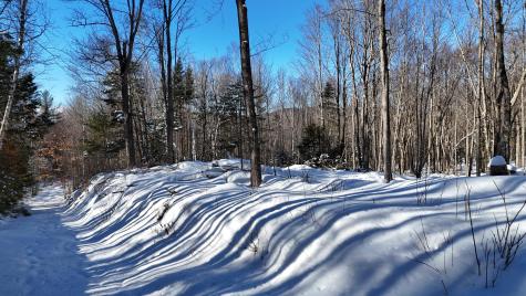 Tbd Dunn Road Norway ME 04268