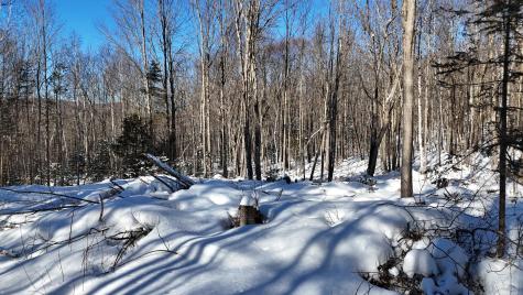 Tbd Dunn Road Norway ME 04268