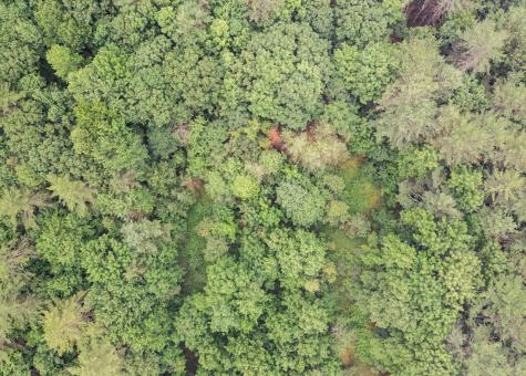 925 College Street Lewiston ME 04240