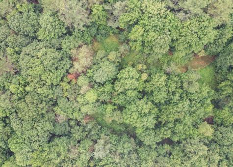 925 College Street Lewiston ME 04240