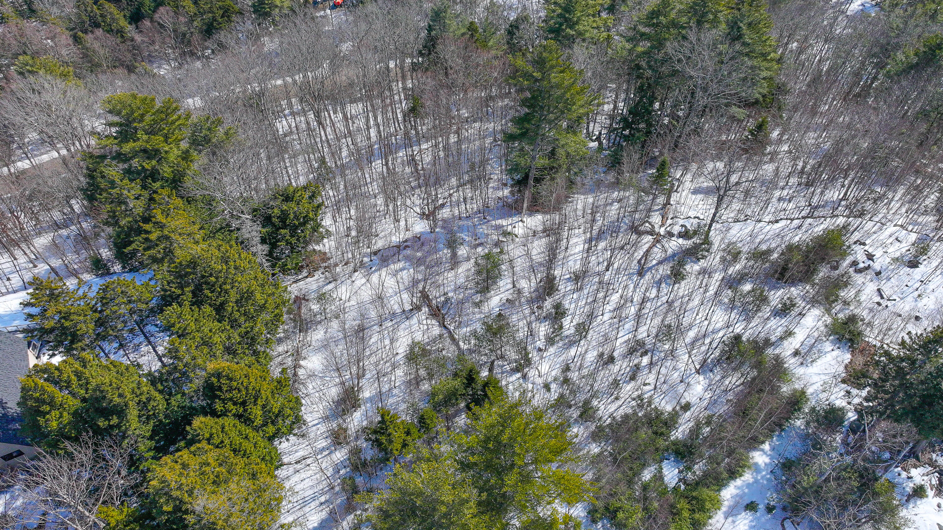 Lot #9 Oak Hill Drive Woodstock ME 04219