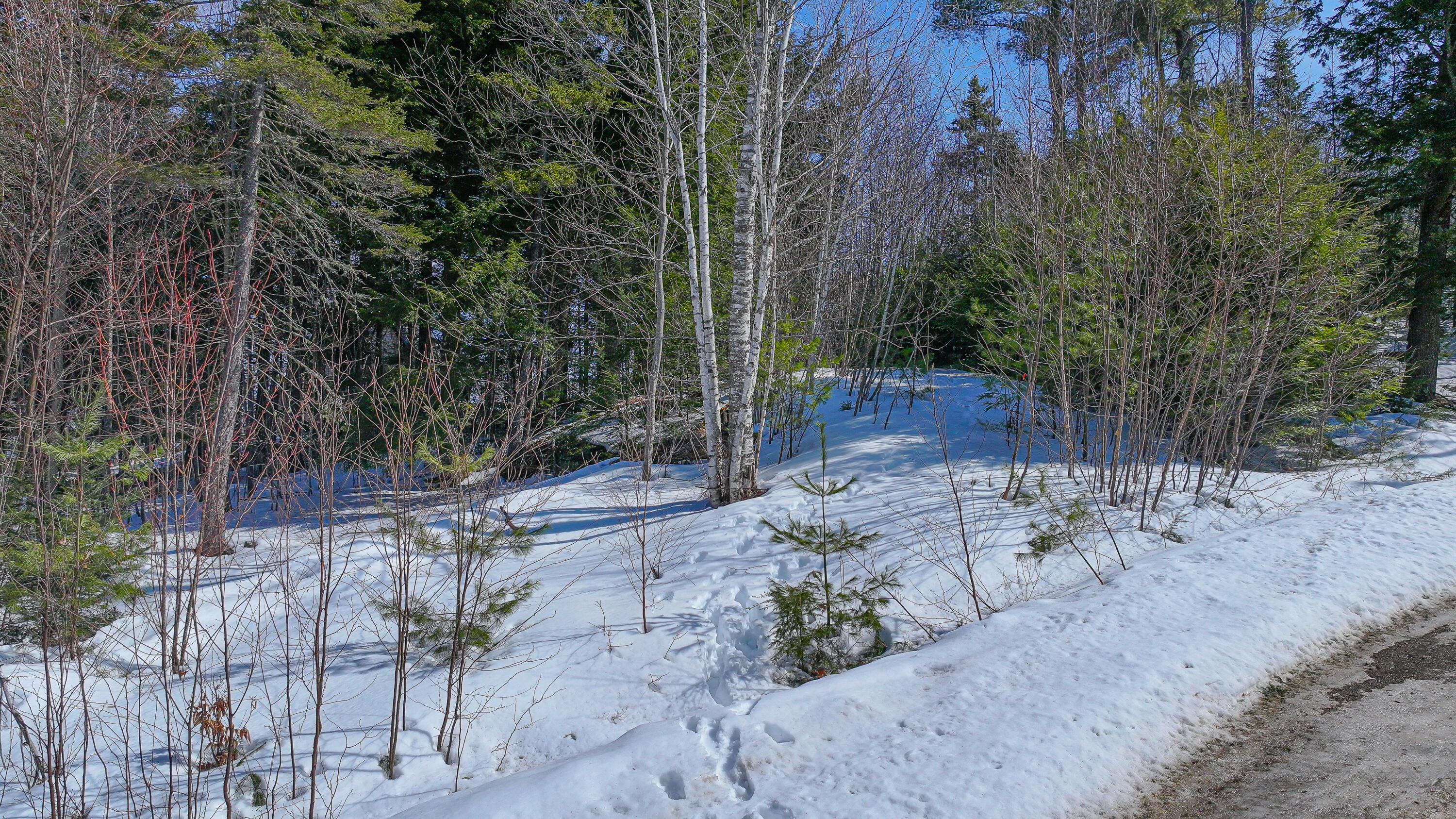 Lot #9 Oak Hill Drive Woodstock ME 04219