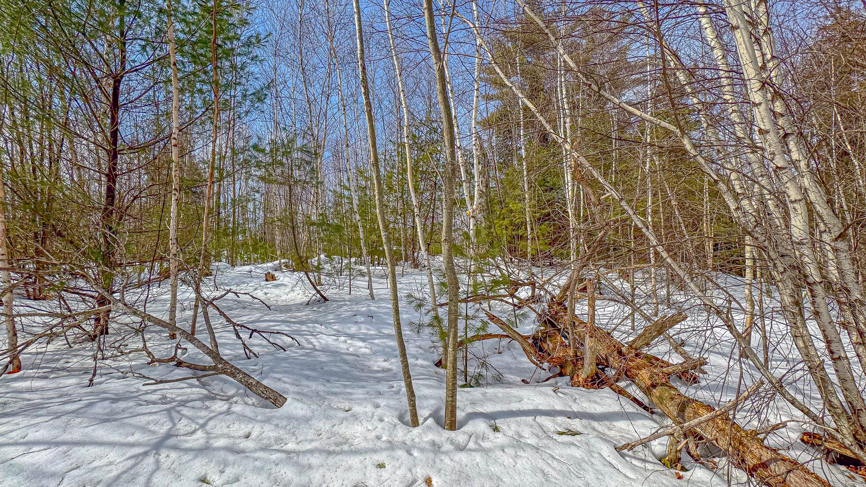 Lot #9 Oak Hill Drive Woodstock ME 04219