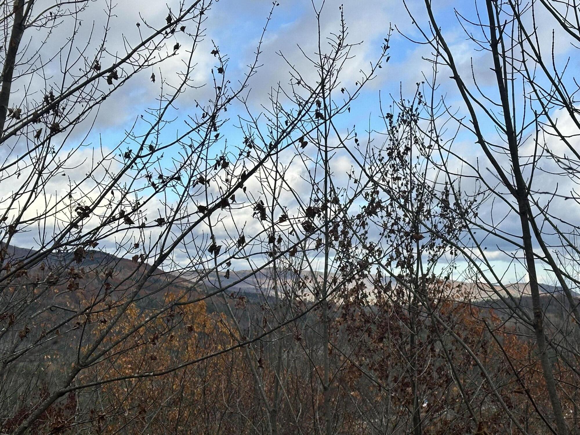 Lot #9 Oak Hill Drive Woodstock ME 04219