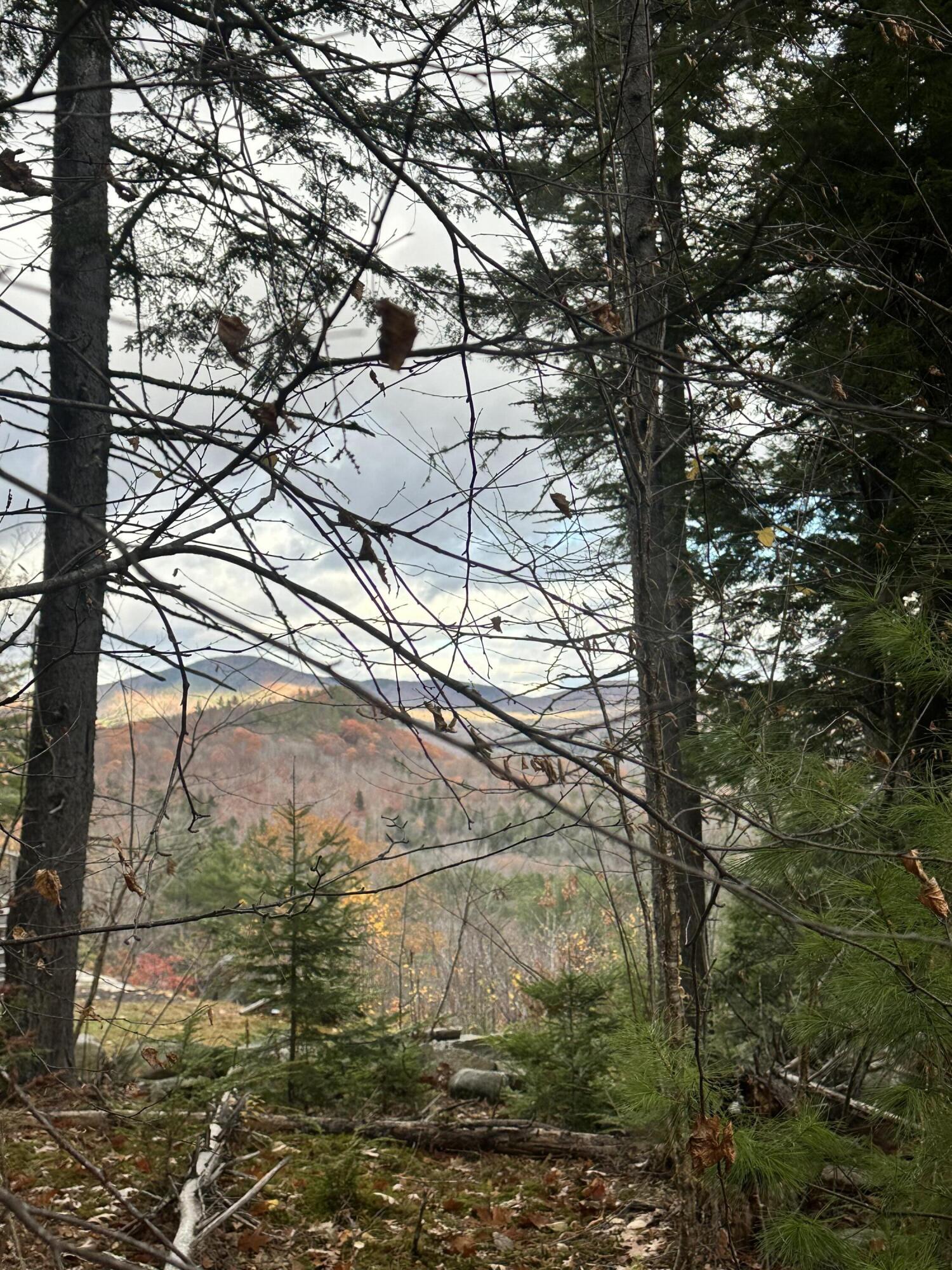 Lot #9 Oak Hill Drive Woodstock ME 04219