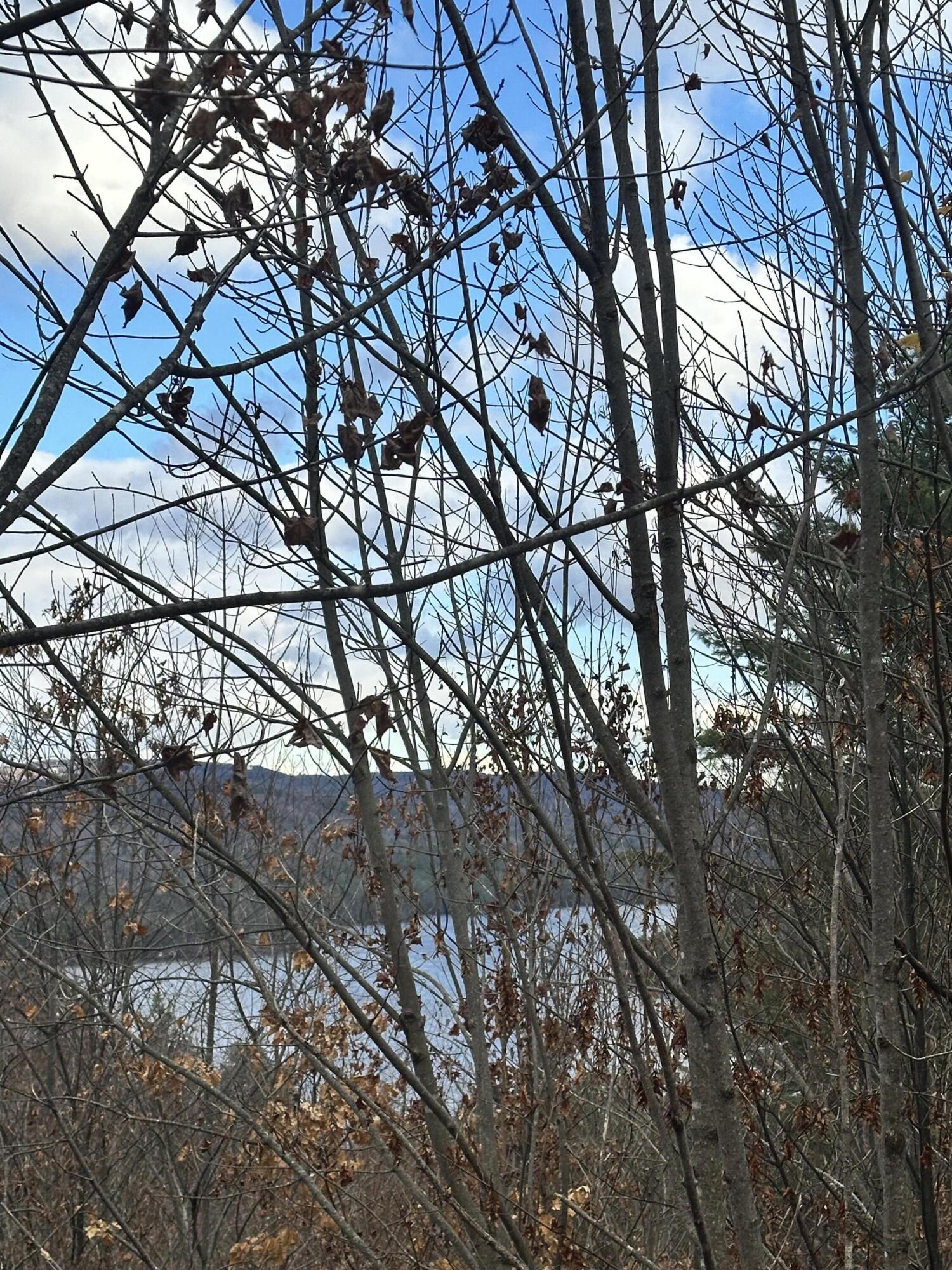 Lot #9 Oak Hill Drive Woodstock ME 04219