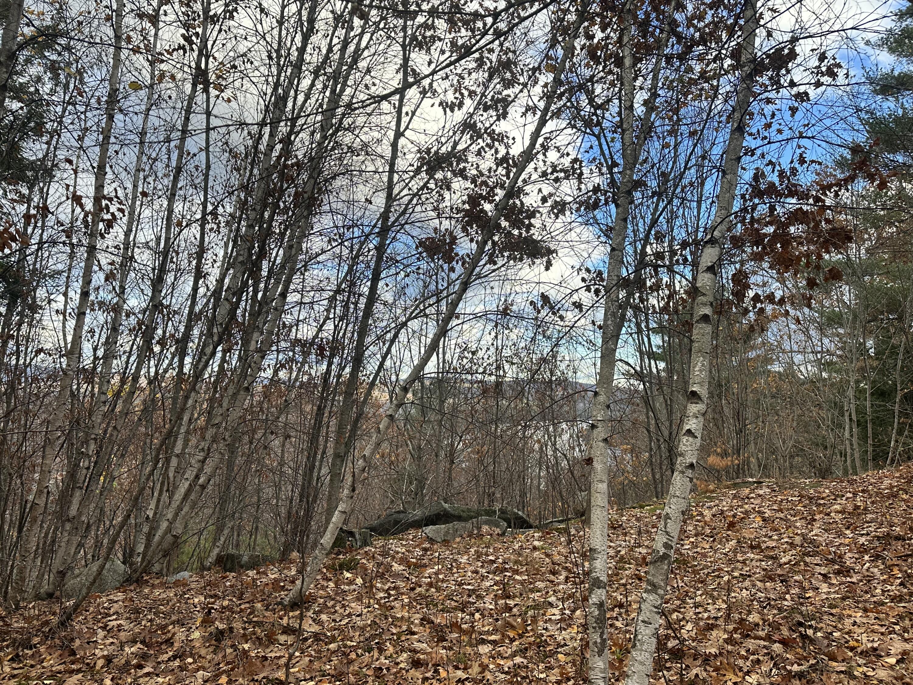 Lot #9 Oak Hill Drive Woodstock ME 04219