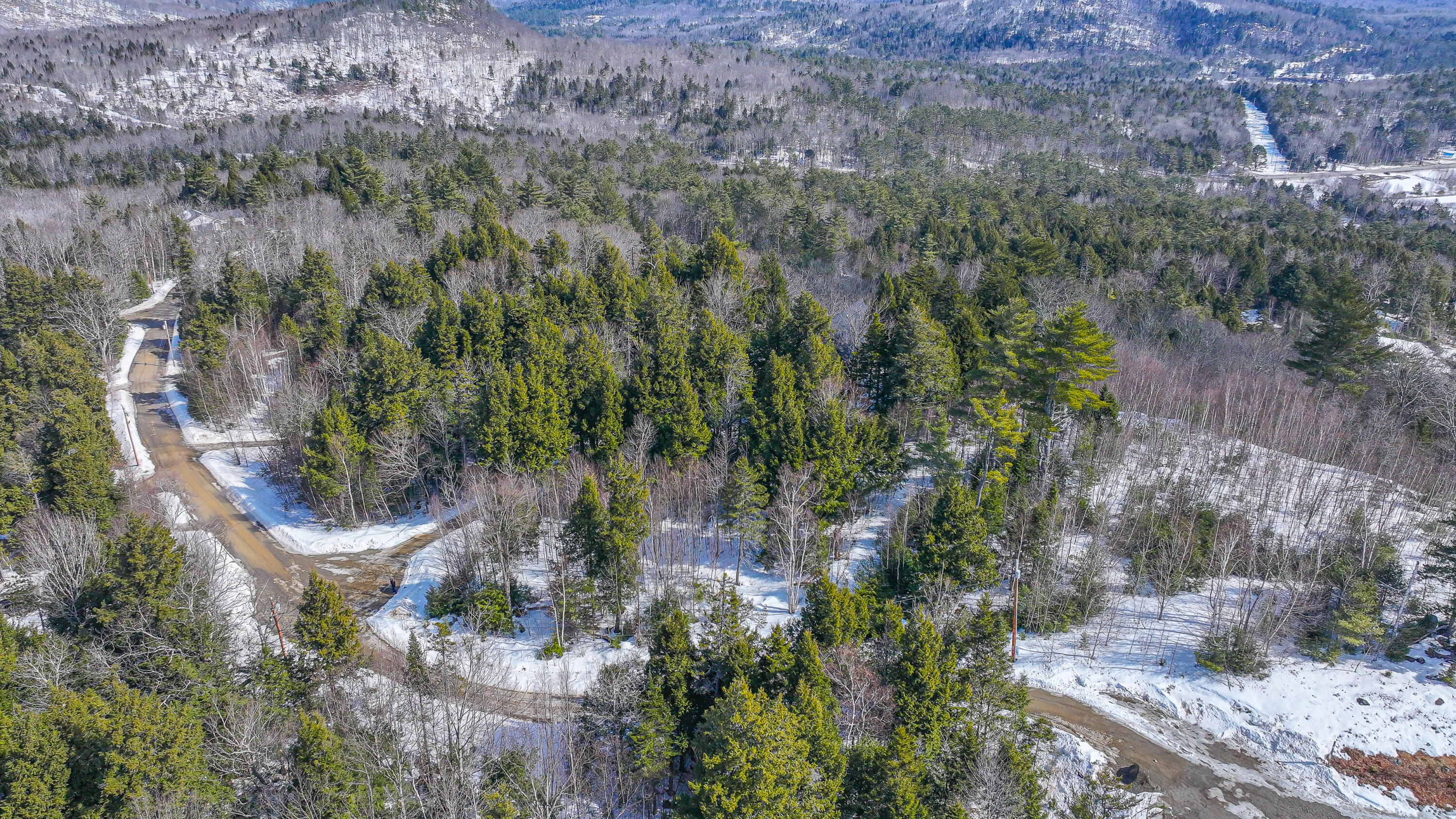 Lot #9 Oak Hill Drive Woodstock ME 04219