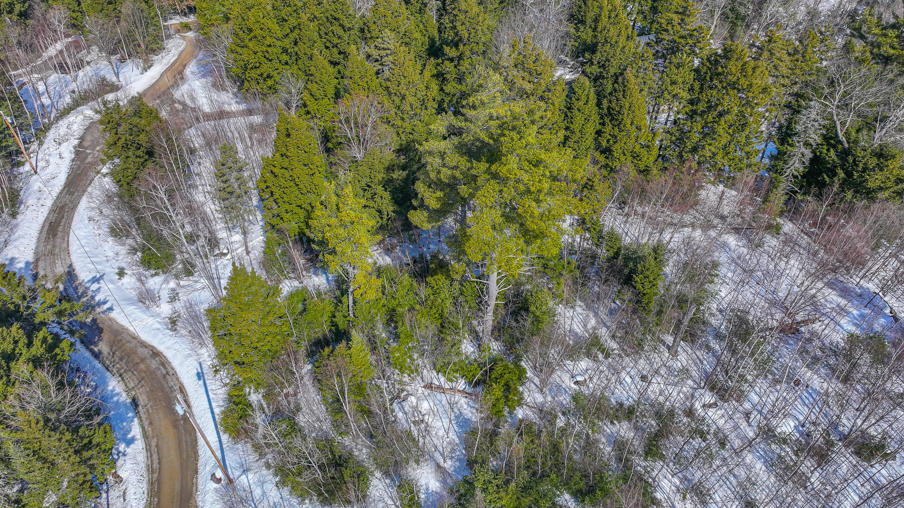 Lot #9 Oak Hill Drive Woodstock ME 04219