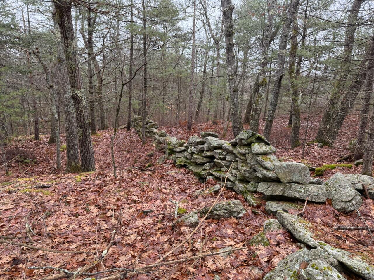 Lot 068003 Shore Road Bremen ME 04551