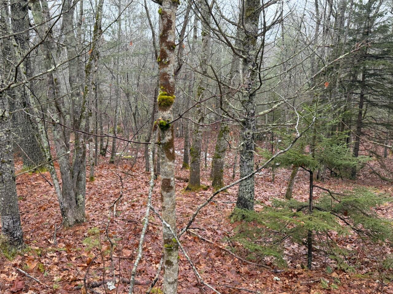 Lot 068003 Shore Road Bremen ME 04551