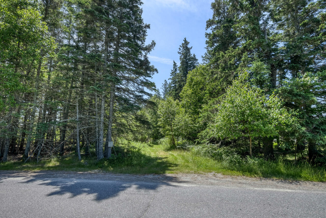 6-60b Tea Hill Road Stonington ME 04681