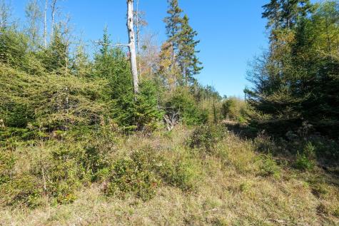 6-60b Tea Hill Road Stonington ME 04681