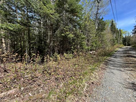 M17/L52-1 Stinchfield Road Sandy River Plt ME 04970