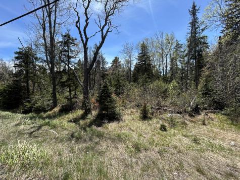 M17/L52-1 Stinchfield Road Sandy River Plt ME 04970