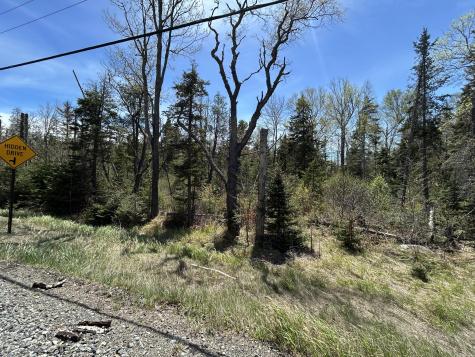 M17/L52-1 Stinchfield Road Sandy River Plt ME 04970