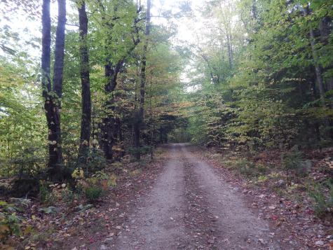 Lot#r13l50 Corn Hill Road Brownfield ME 04010