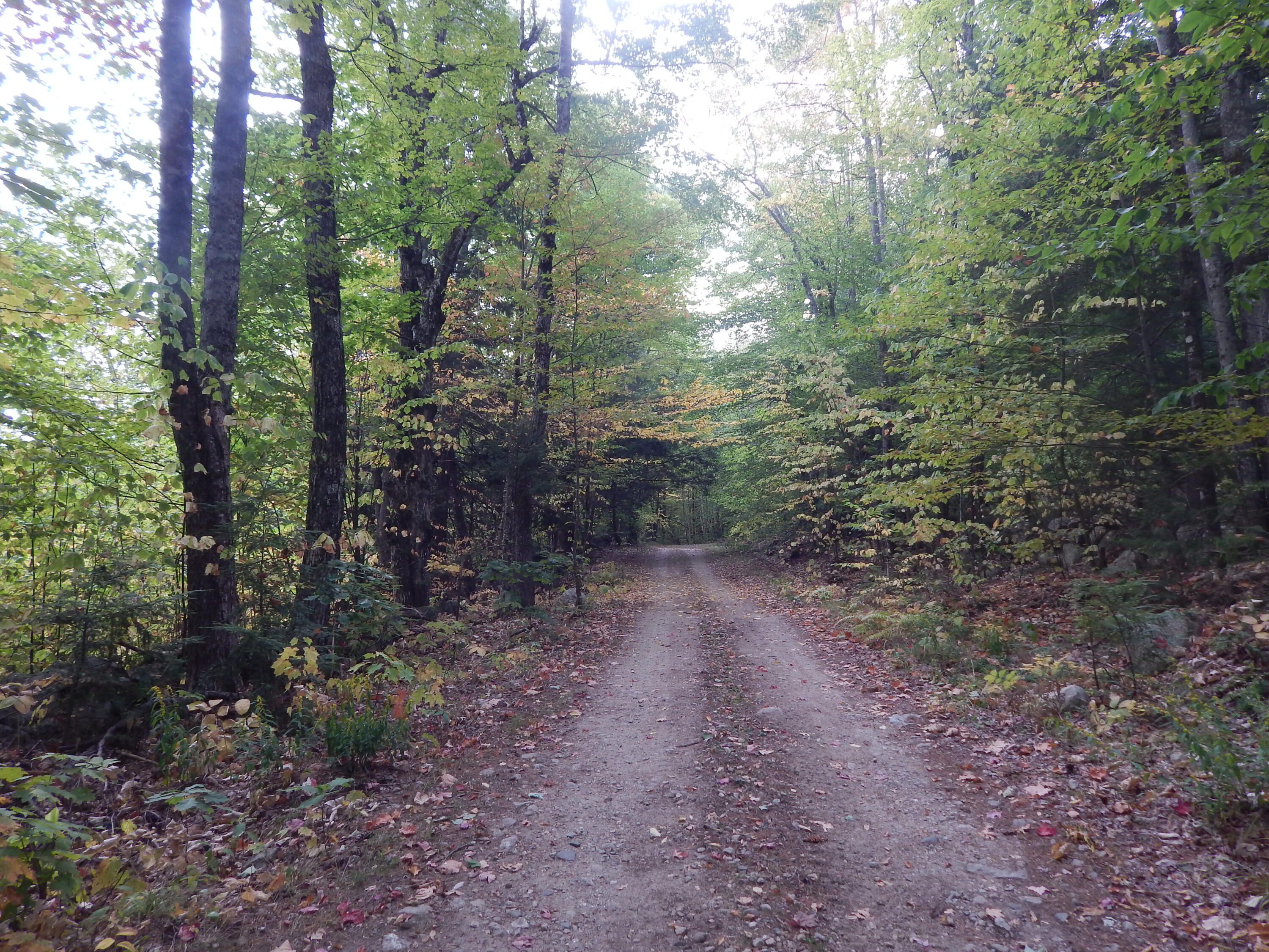 Lot#r13l50 Corn Hill Road Brownfield ME 04010