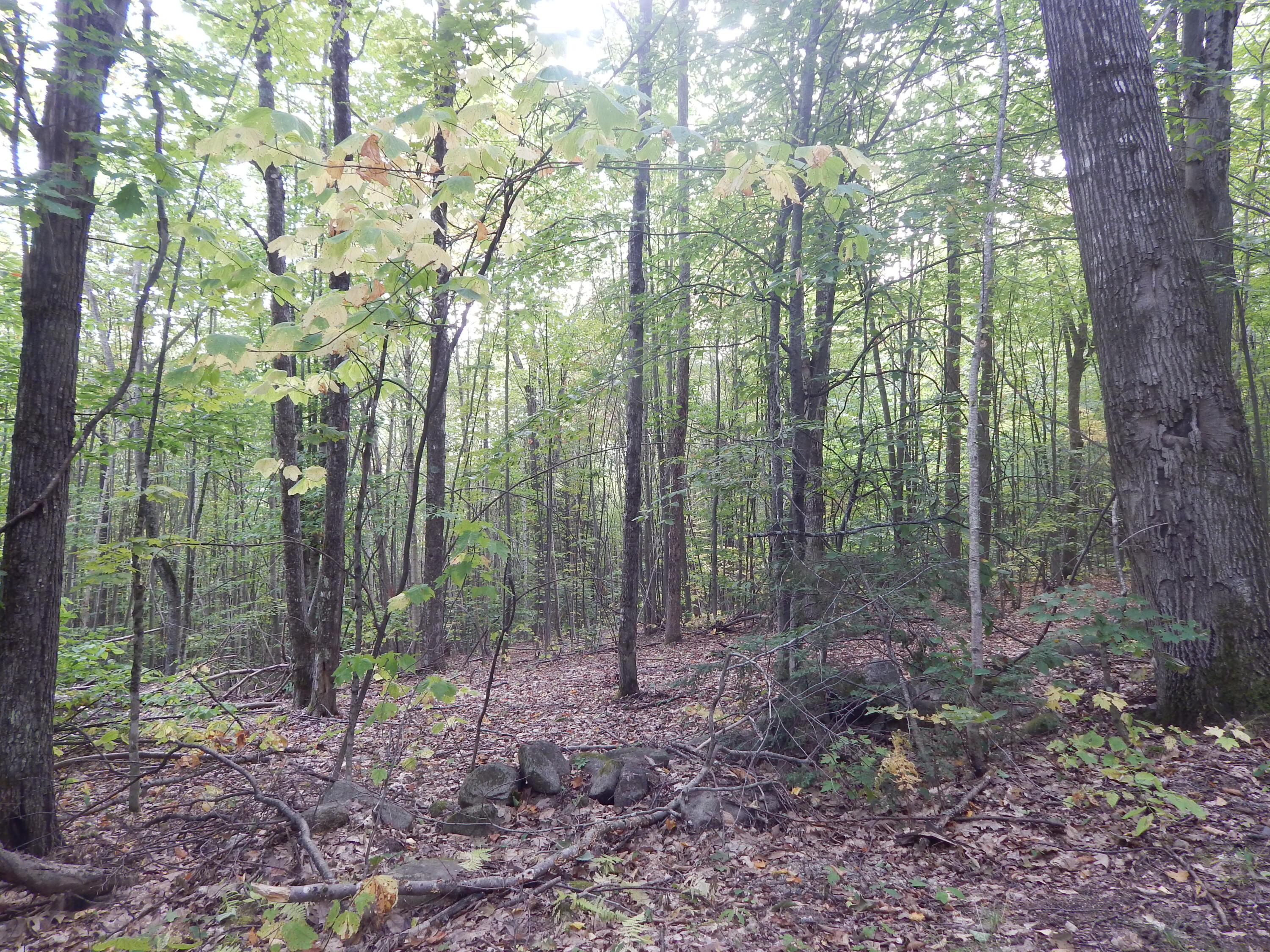 LOT#R13L50 Corn Hill Road Brownfield ME 04010